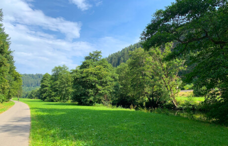 Auf dem Enztalradweg