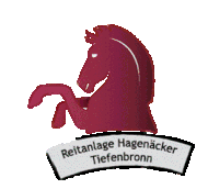 Kutschfahrten Reitanlage Hagenäcker Tiefenbronn