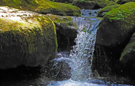 Monbachschlucht Bad Liebenzell
