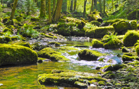 Monbachtal Bad Liebenzell Nordschwarzwald