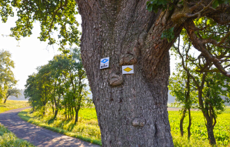 Am Planetenweg in Mühlhausen