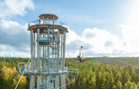 Waldflug vom Himmelsglückturm Schömberg